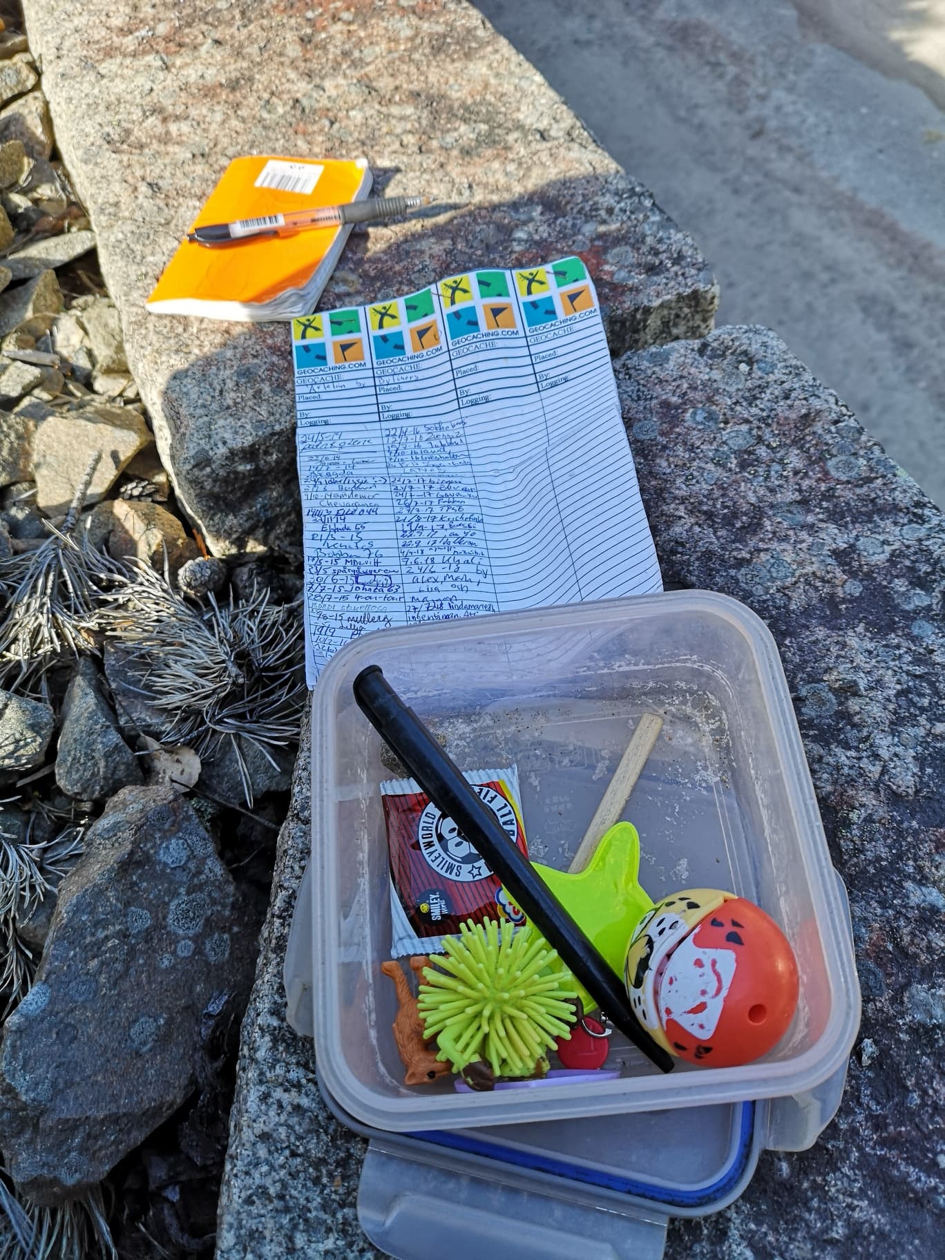 Lonely Cache!