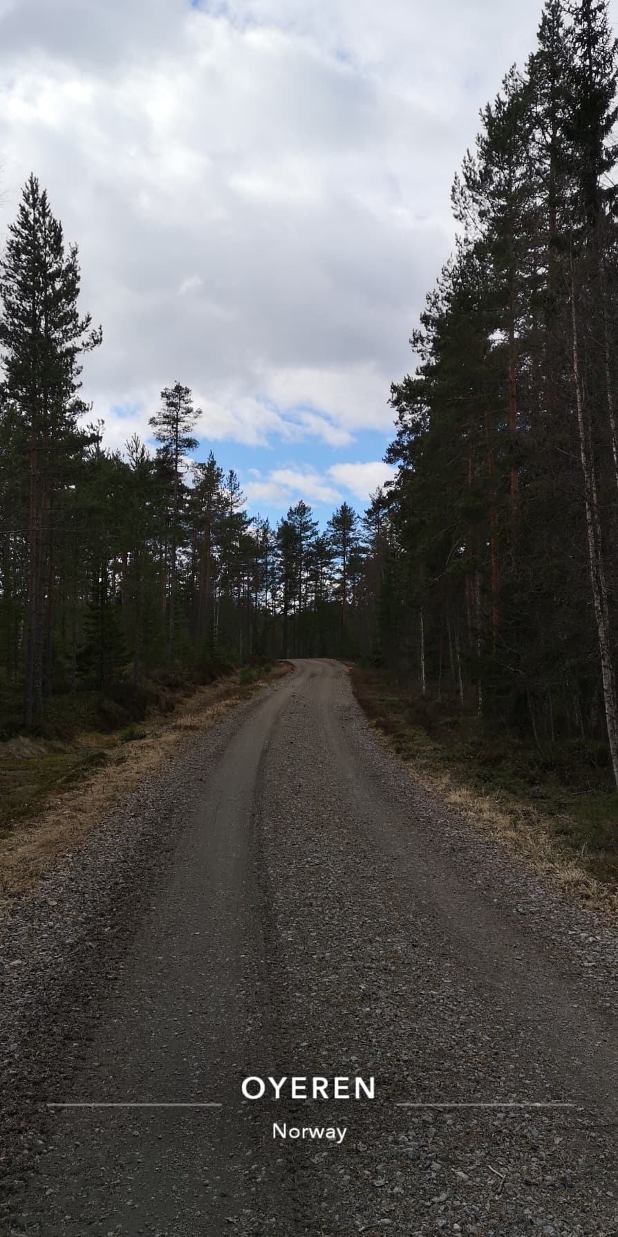 Årsmøte 2022